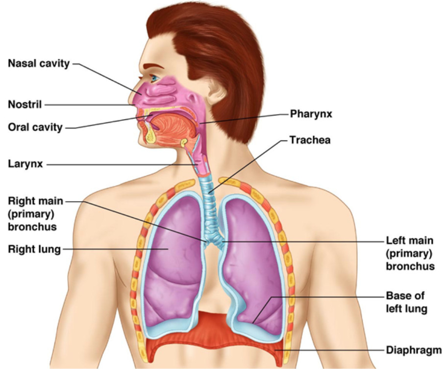 BIOLOGY 